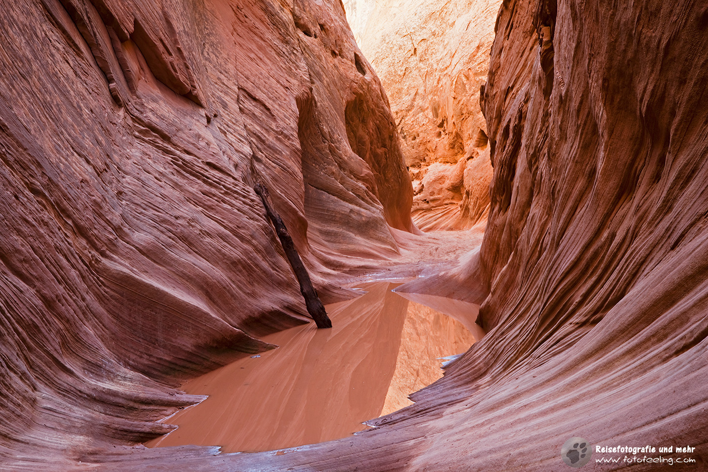 Little Wild Horse Canyon