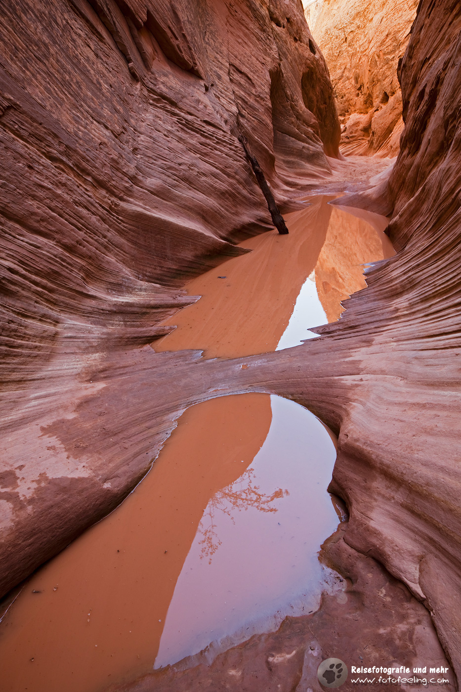 Little Wild Horse Canyon