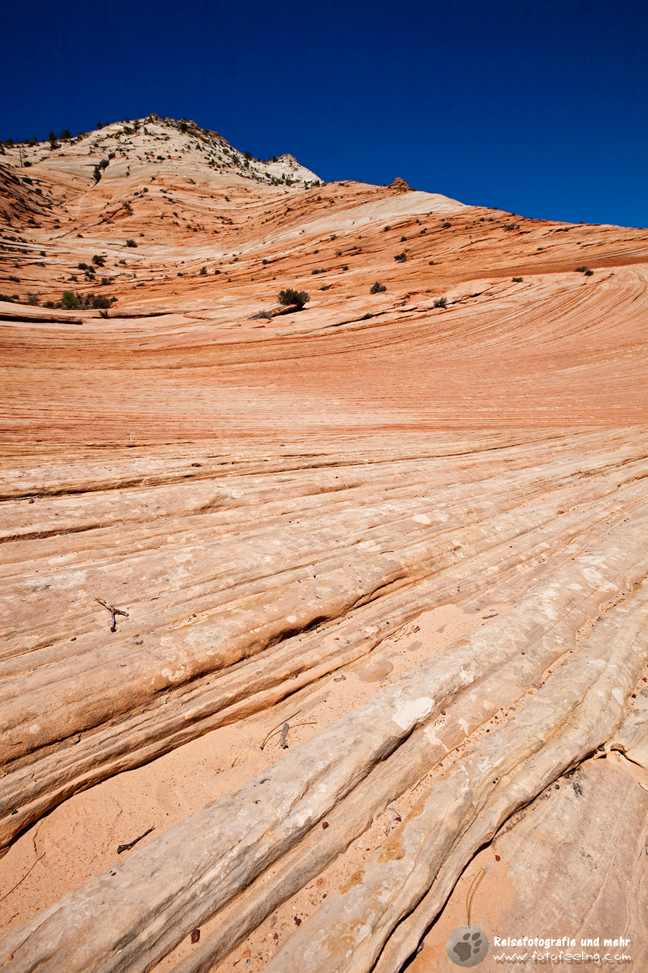 Landschaft im Zion Nationalpark