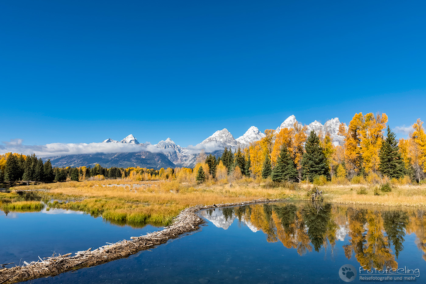 Biberdamm, Schwabacher Landing