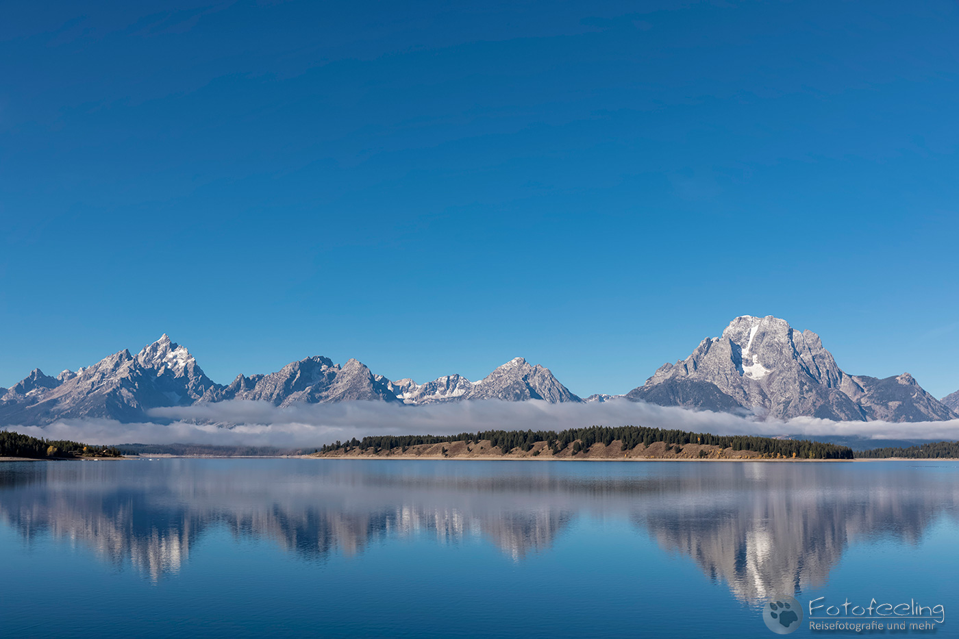 Jackson Lake mit Morgennebel