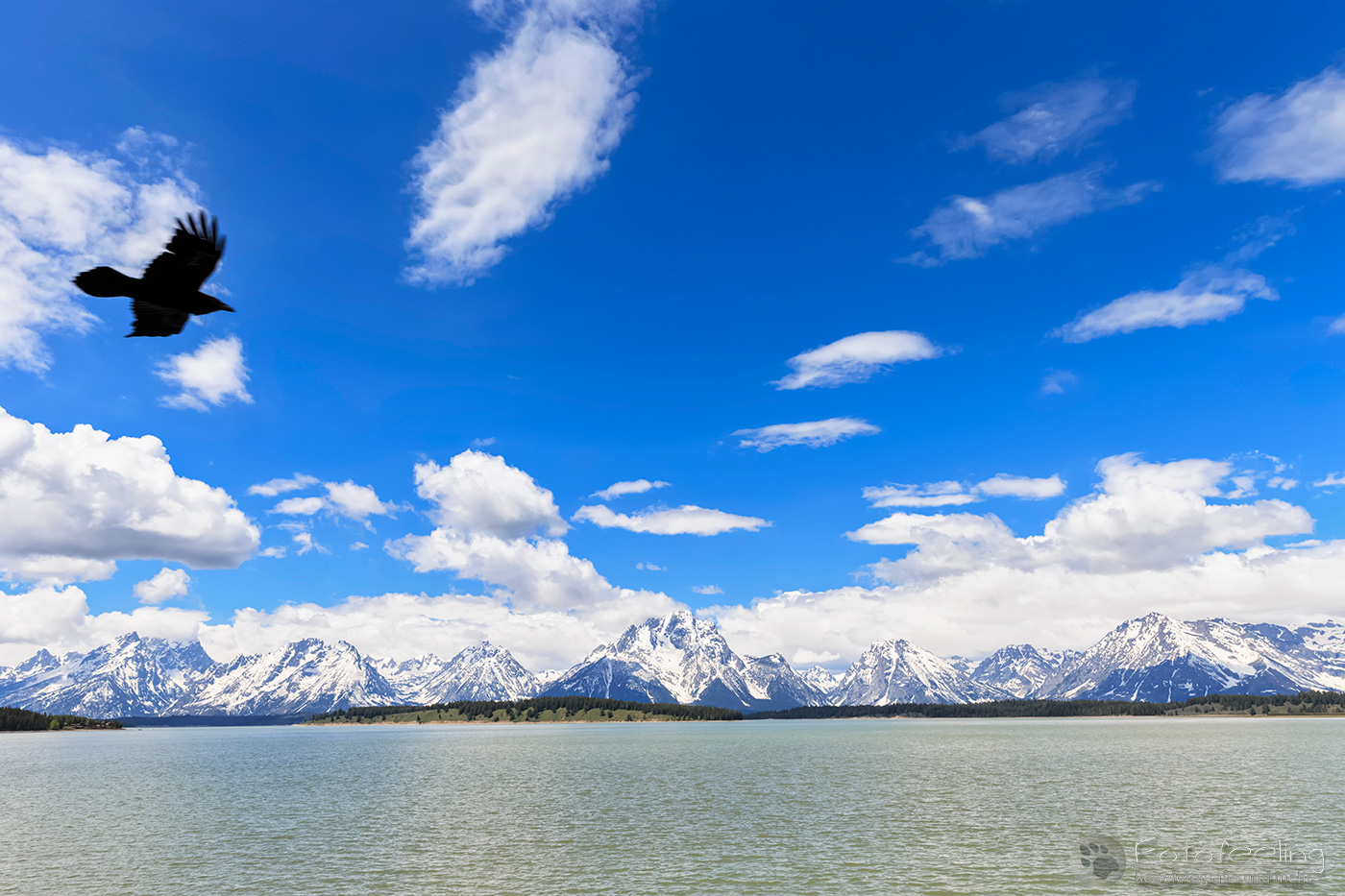 Yellowstone Lake und Absaroka Mountains