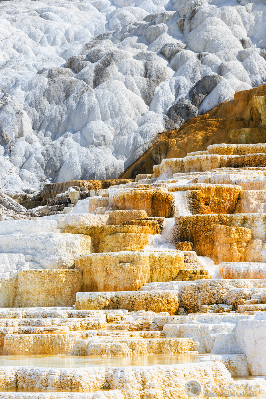 Palette Spring, Lower Terraces, Mammoth Hot Springs