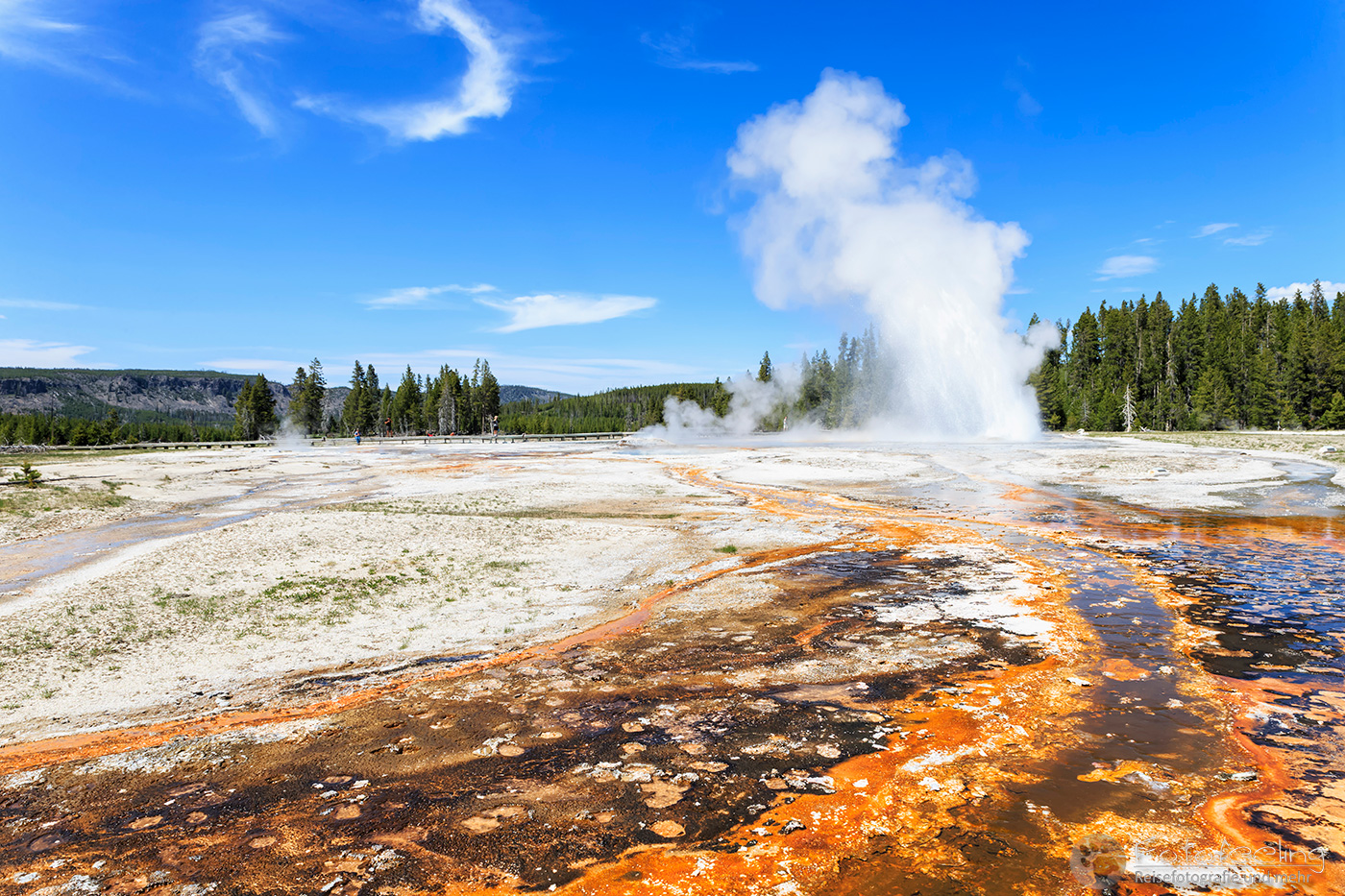 Daisy Geyser, Upper Geyser Basin