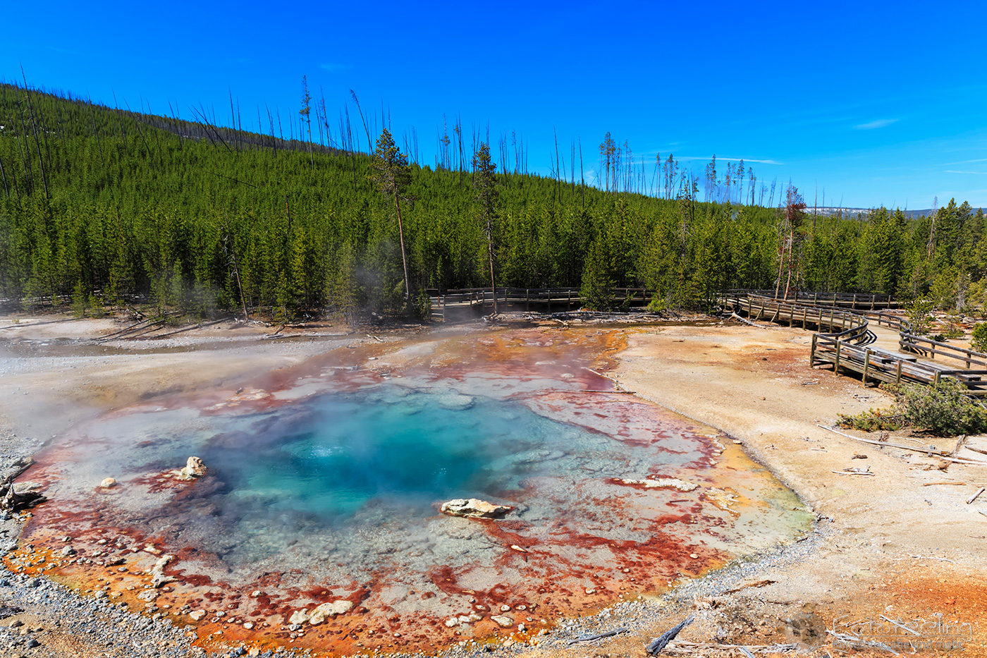 Echinus Geyser, Norris Geyser Basin
