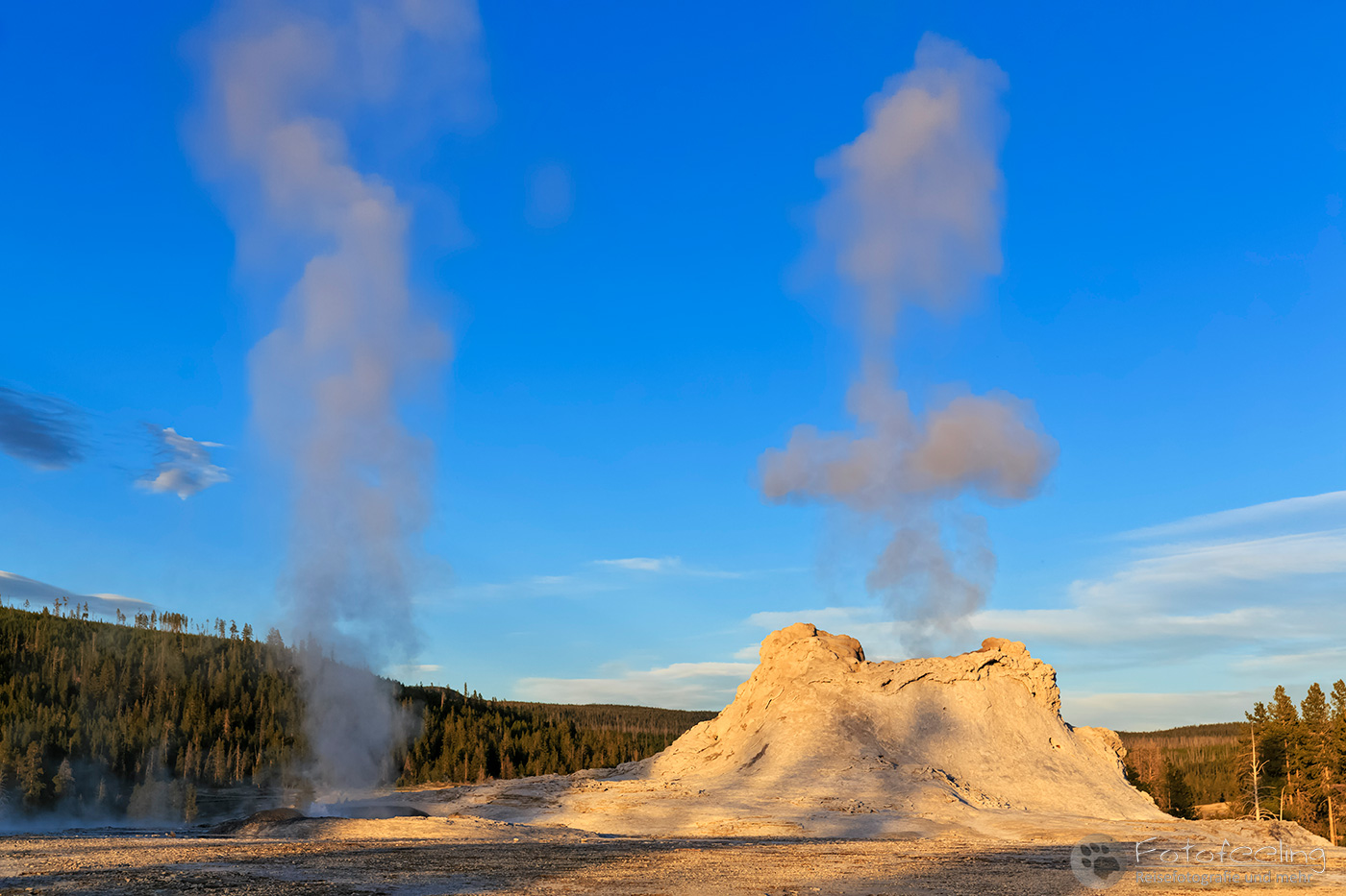 Castle Geyser, Upper Geyser Basin