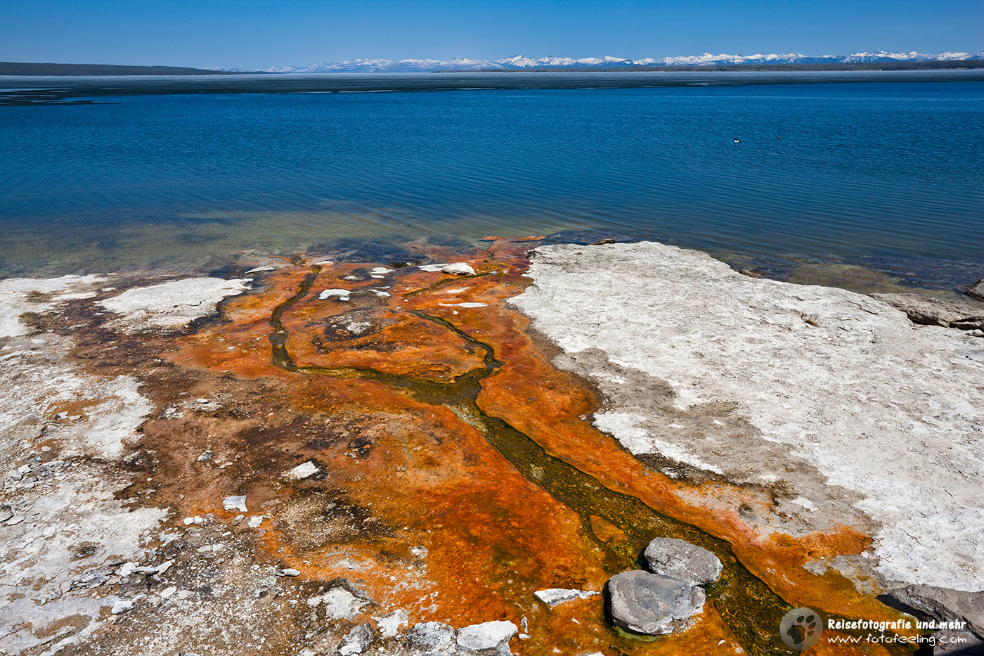 Farbige Thermophile Bakterien, Mikroorganismen, West Thumb Geyser Basin