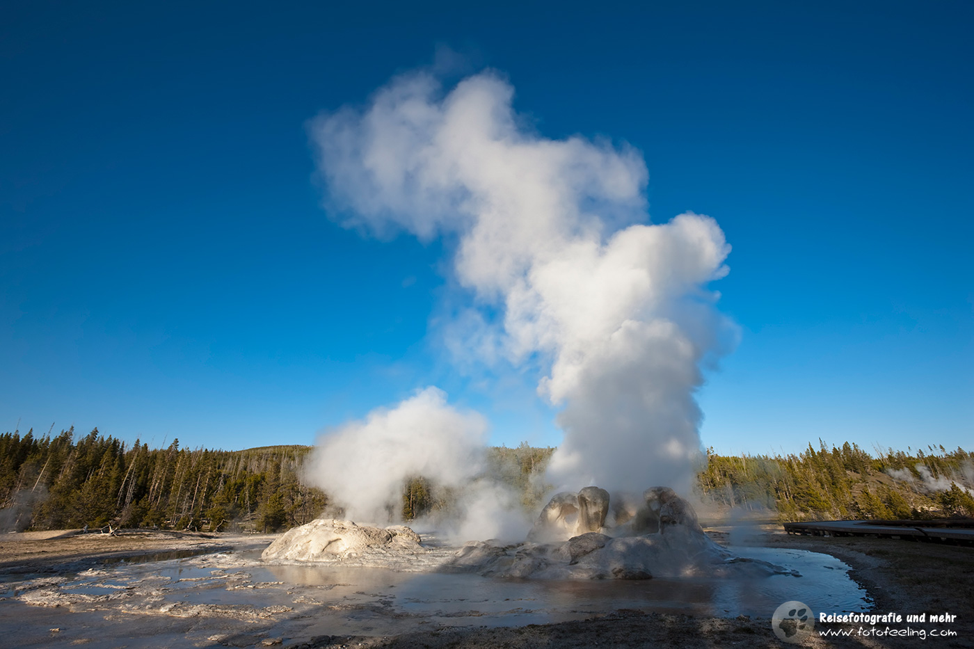 Ausbruch des Grotto Geysirs, Upper Geyser Basin