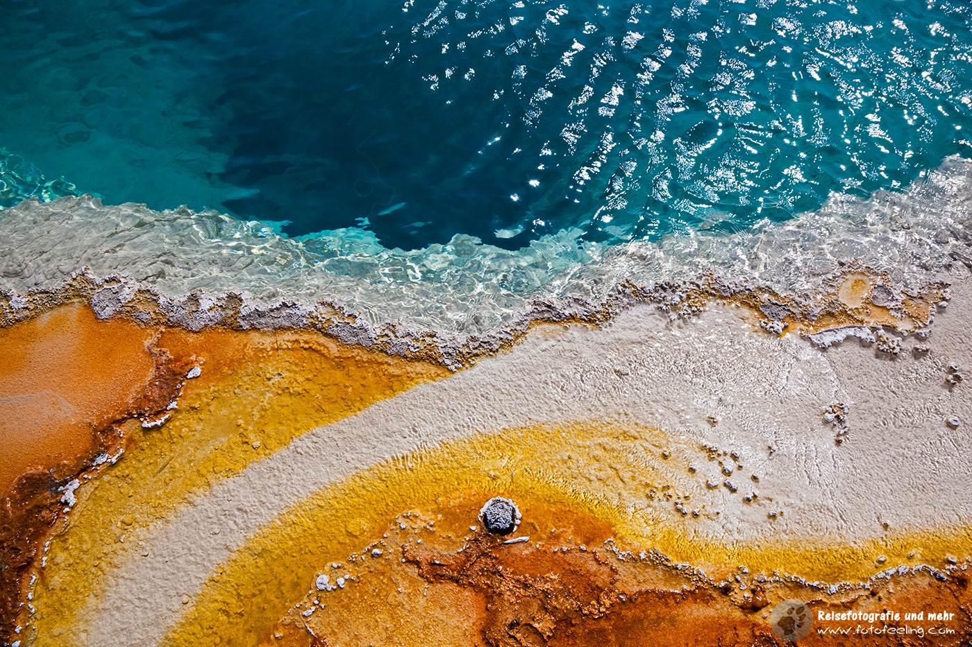 Farbige Thermophile Bakterien, Mikroorganismen, West Thumb Geyser Basin