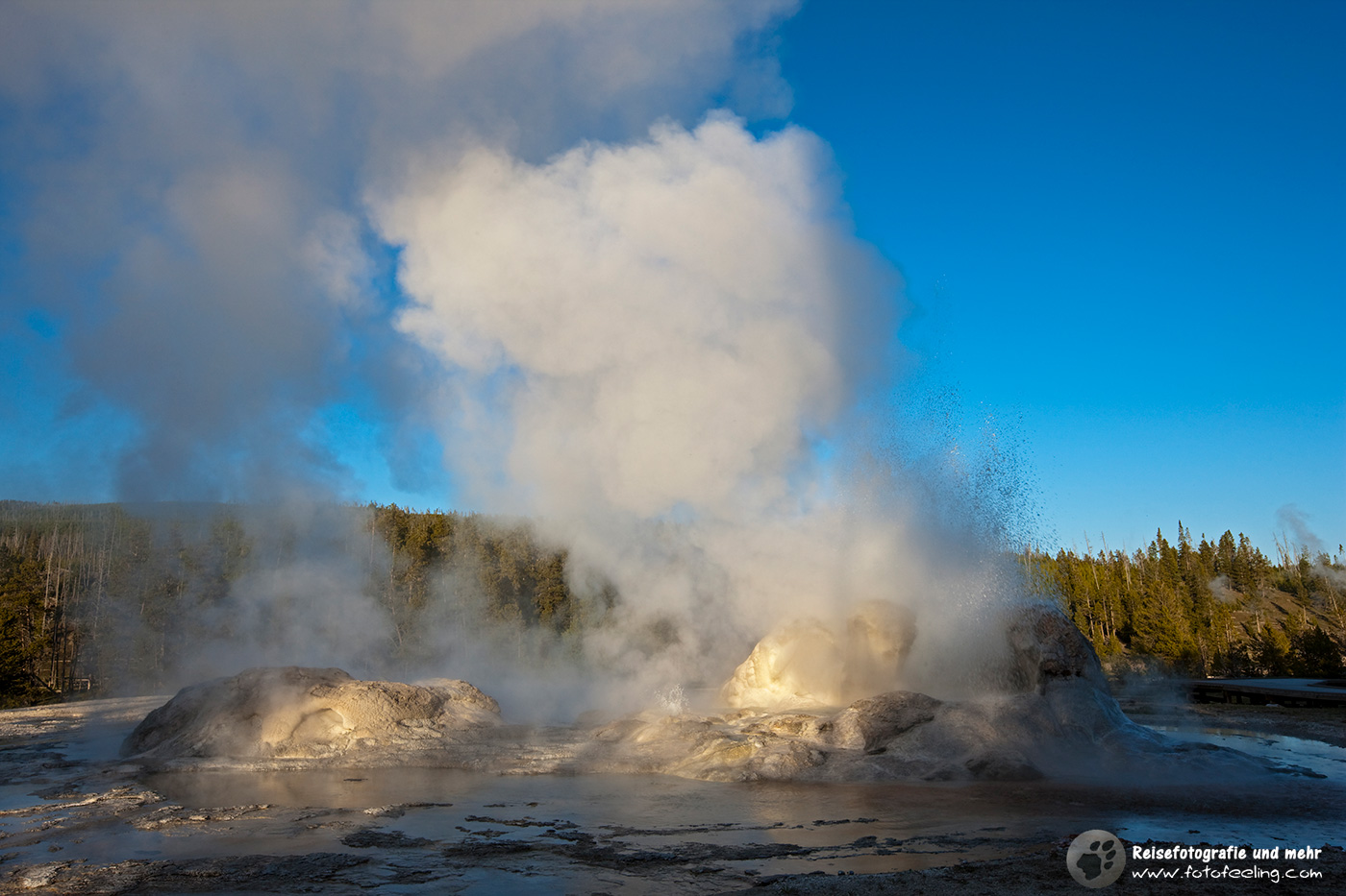 Ausbruch des Grotto Geysirs, Upper Geyser Basin