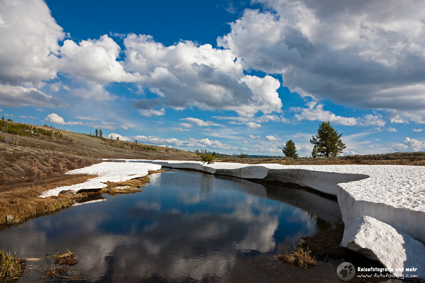 Schneereste mit Schmelzwasser im Yellowstone Nationalpark