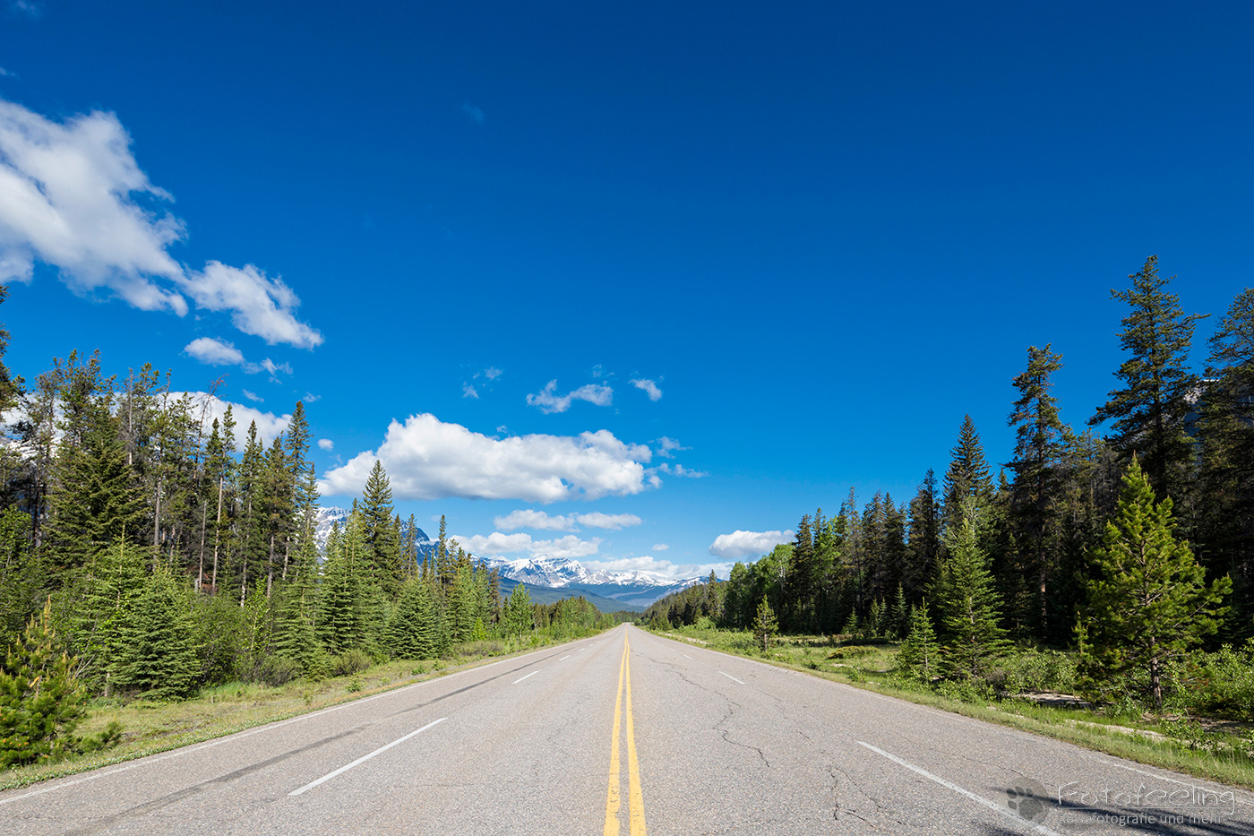 Icefields Parkway (Highway 93)