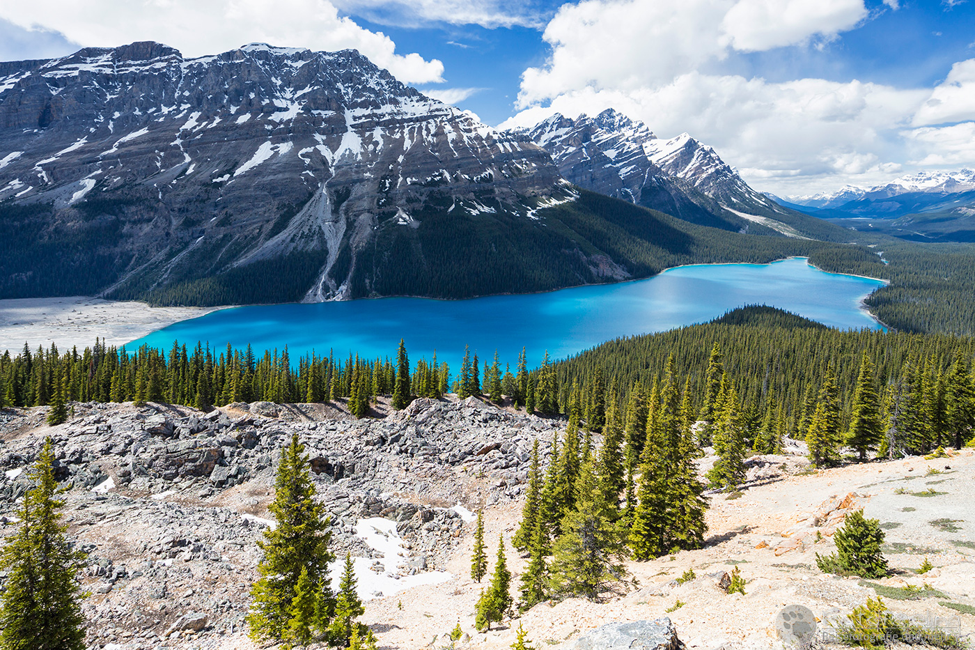 Peyto Lake vom Bow Summit