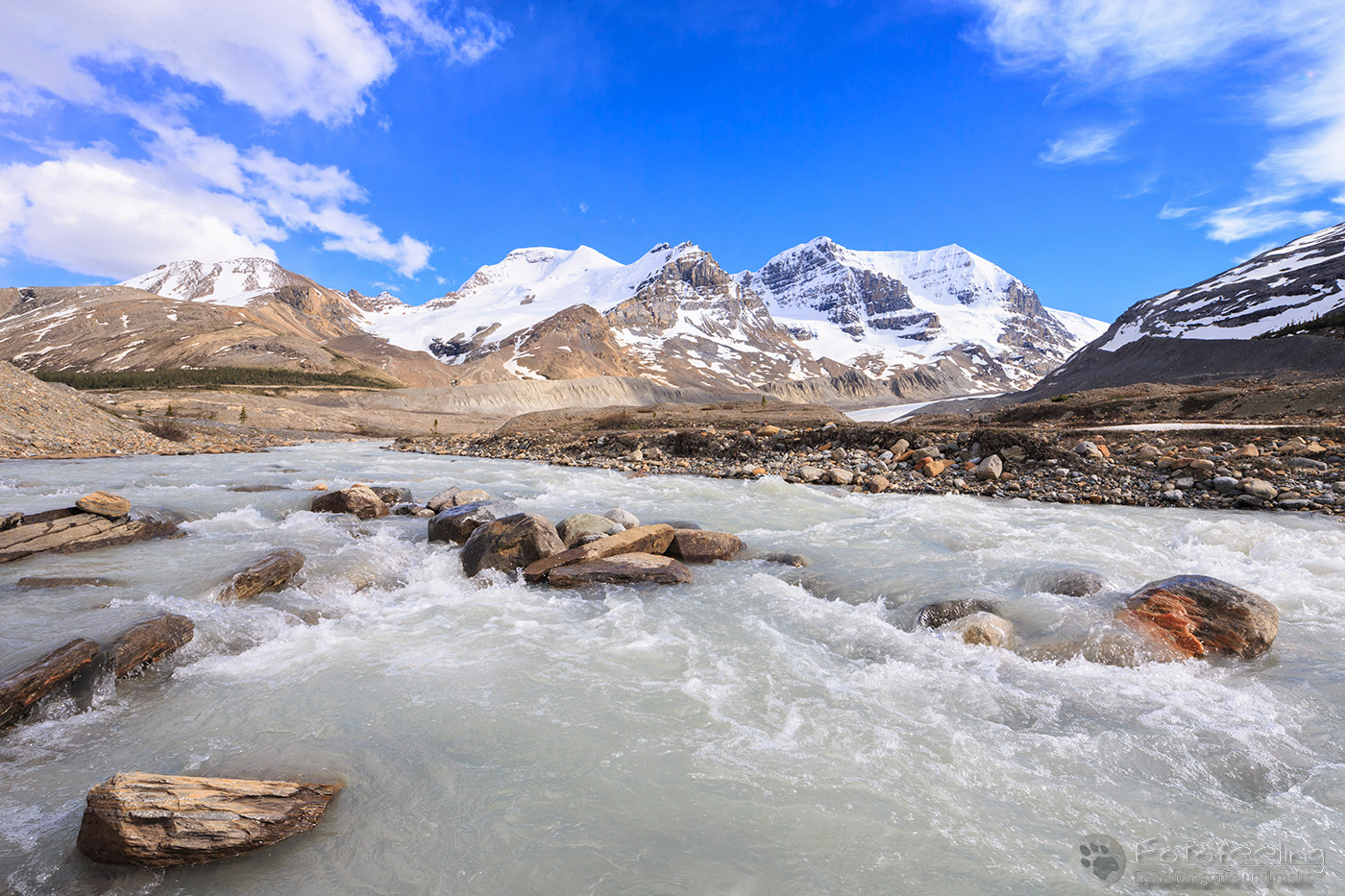 Schmelzwasser vom Athabasca Glacier