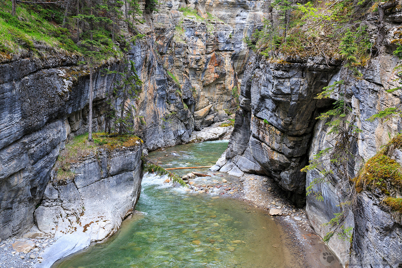 Maligne Canyon & Maligne River