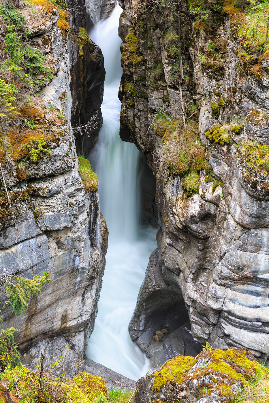 Maligne Canyon & Maligne River