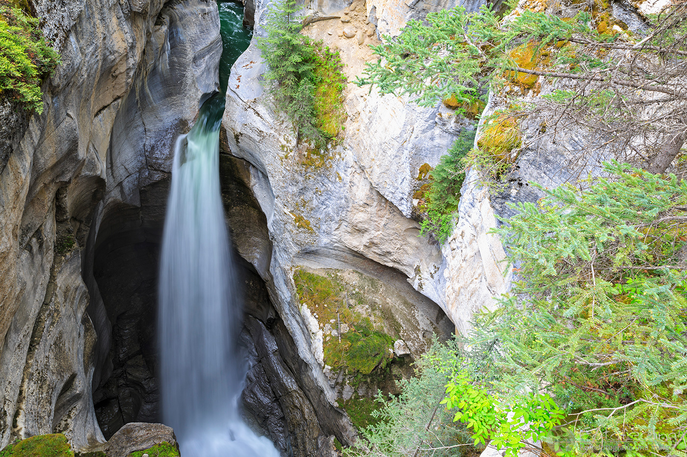 Maligne Canyon & Maligne River