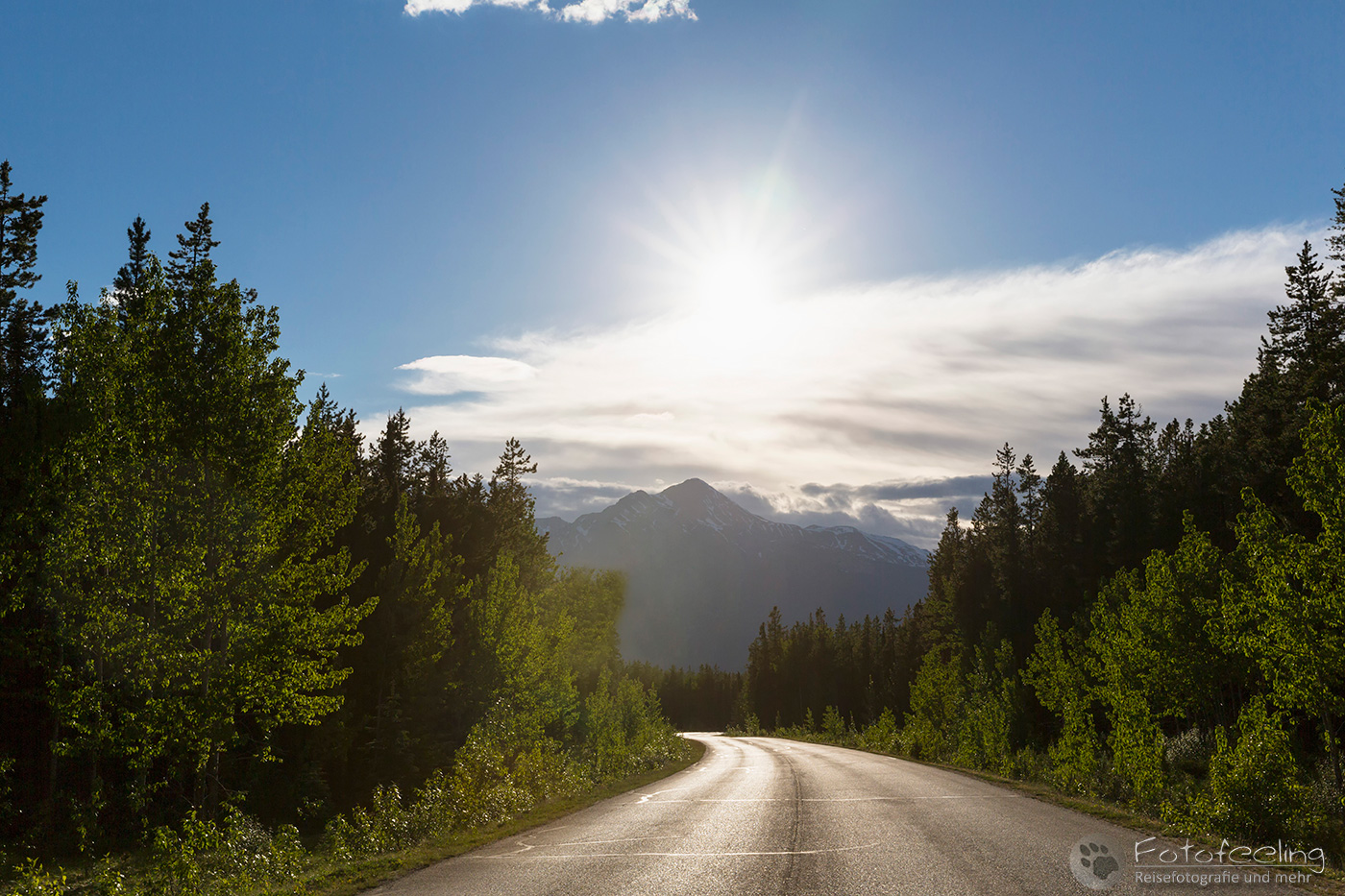 Icefields Parkway (Highway 93)