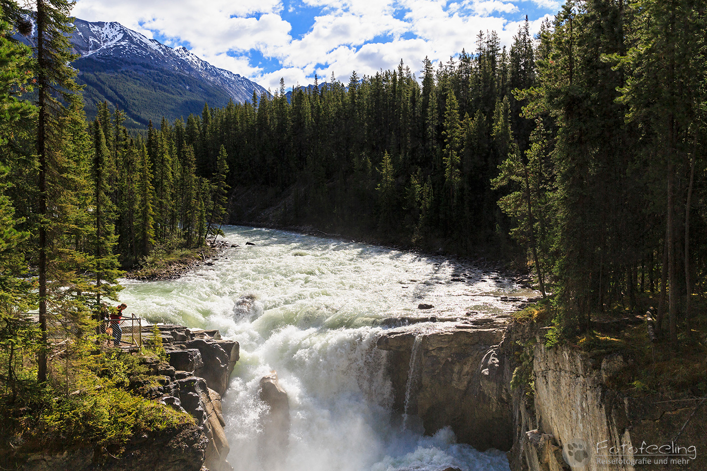 Sunwapta Falls & Sunwapta River