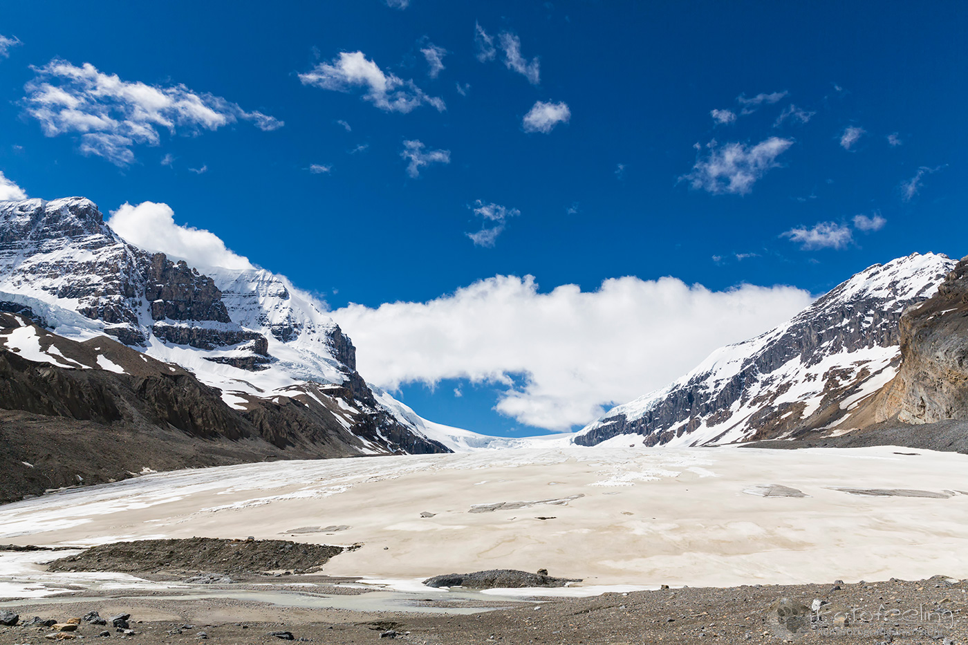 Athabasca Glacier