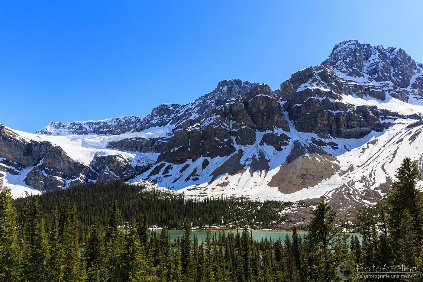 Crowfoot Glacier & Bow Lake