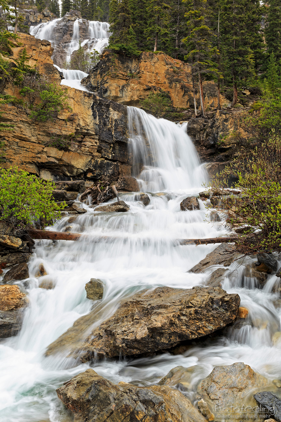 Tangle Creek Falls
