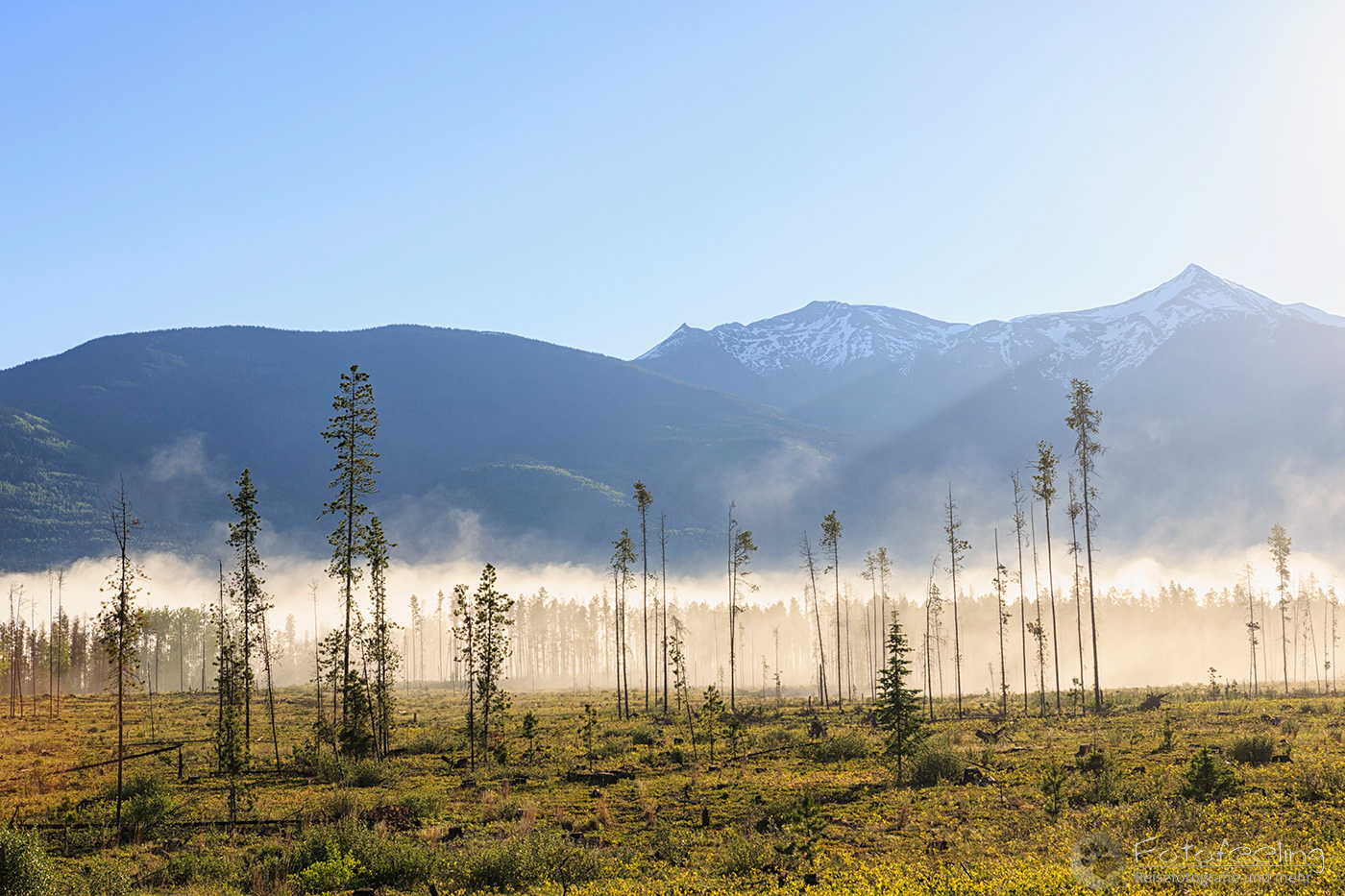 Landschaft am Yellowhead Highway