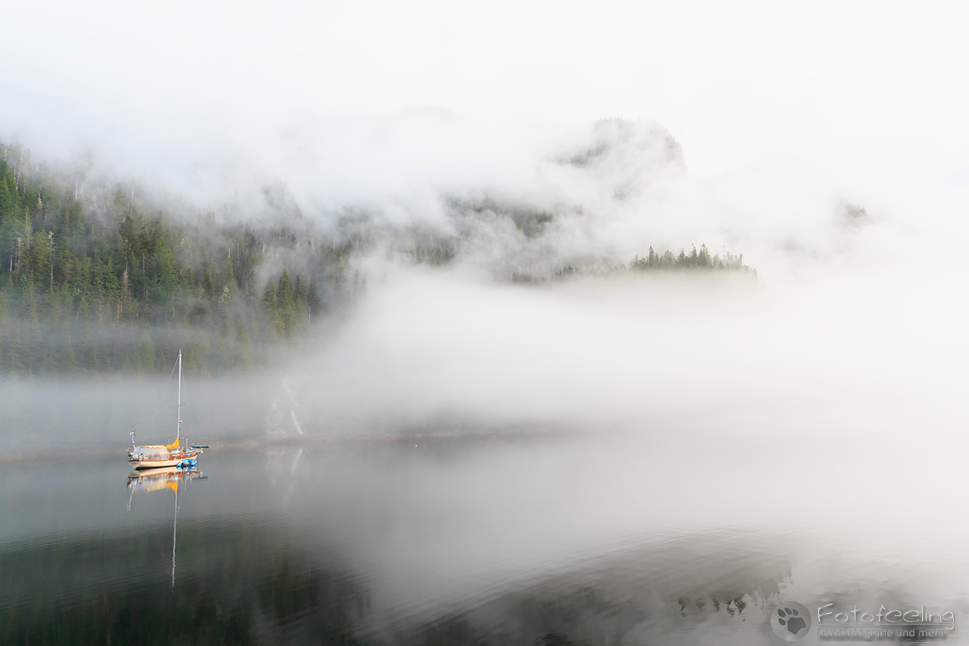 Nebelstimmung über dem Fjord