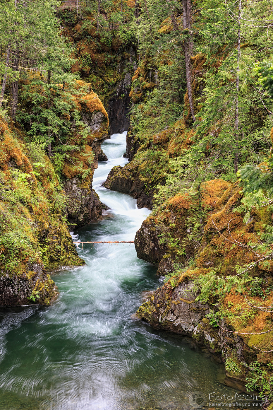 Little Qualicum Falls Provincial Park
