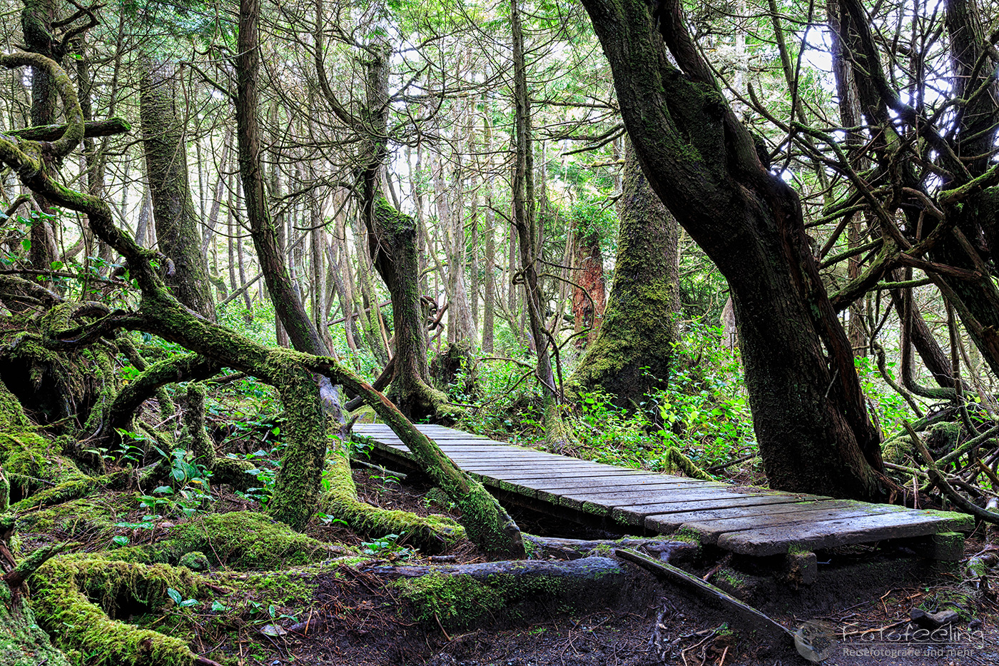 Holzsteg im Botanical Beach Provincial Park