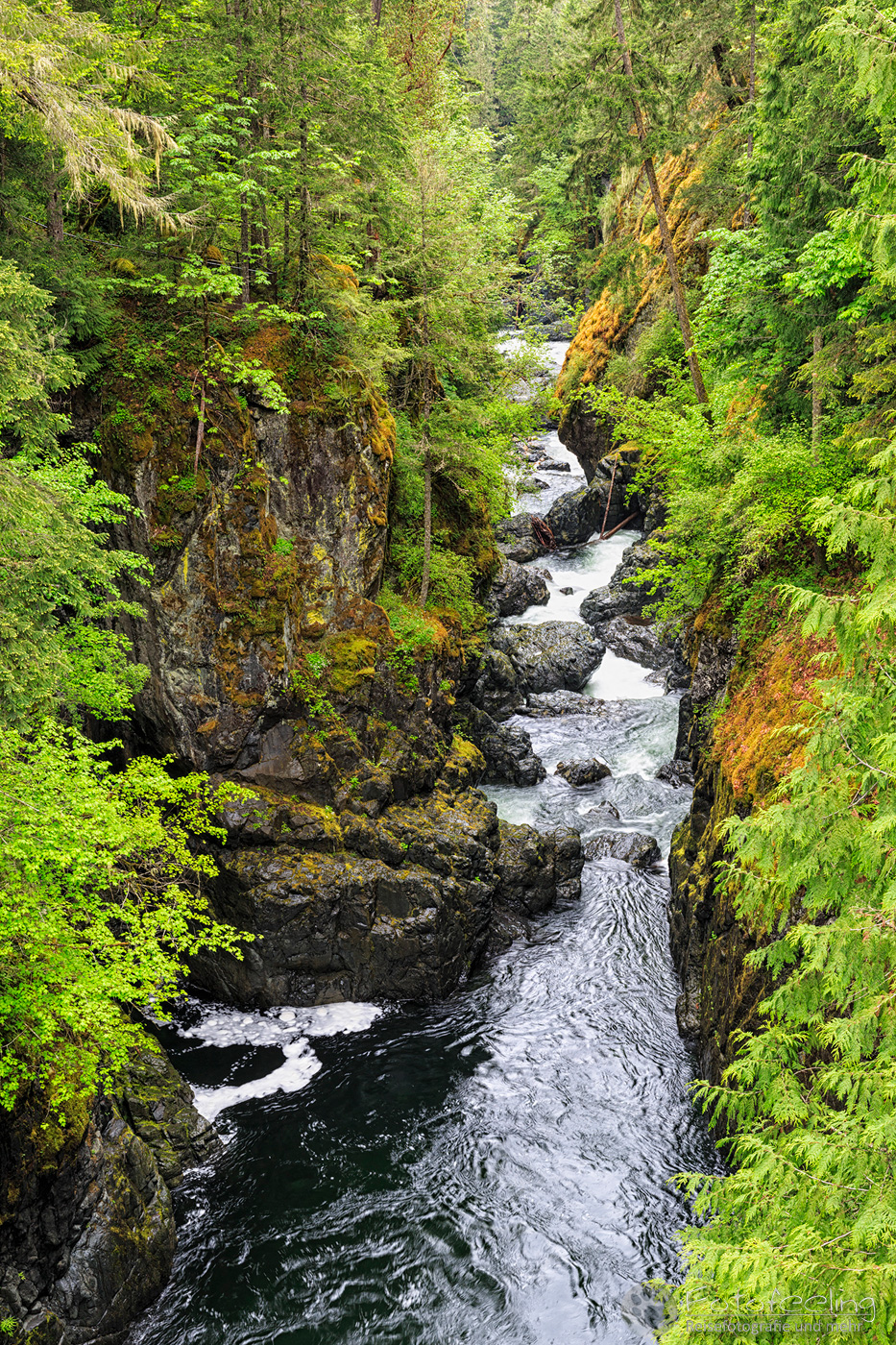 Englishman River Falls Provincial Park