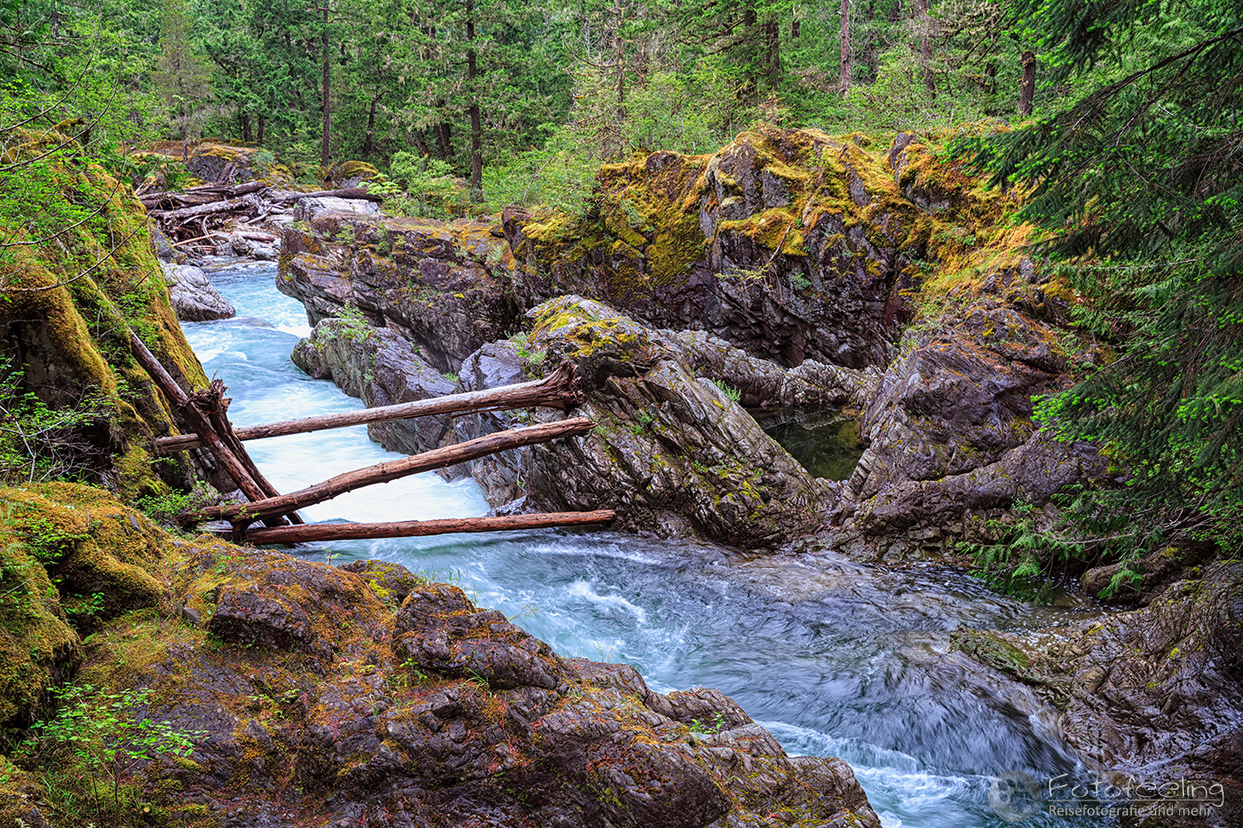 Little Qualicum Falls Provincial Park
