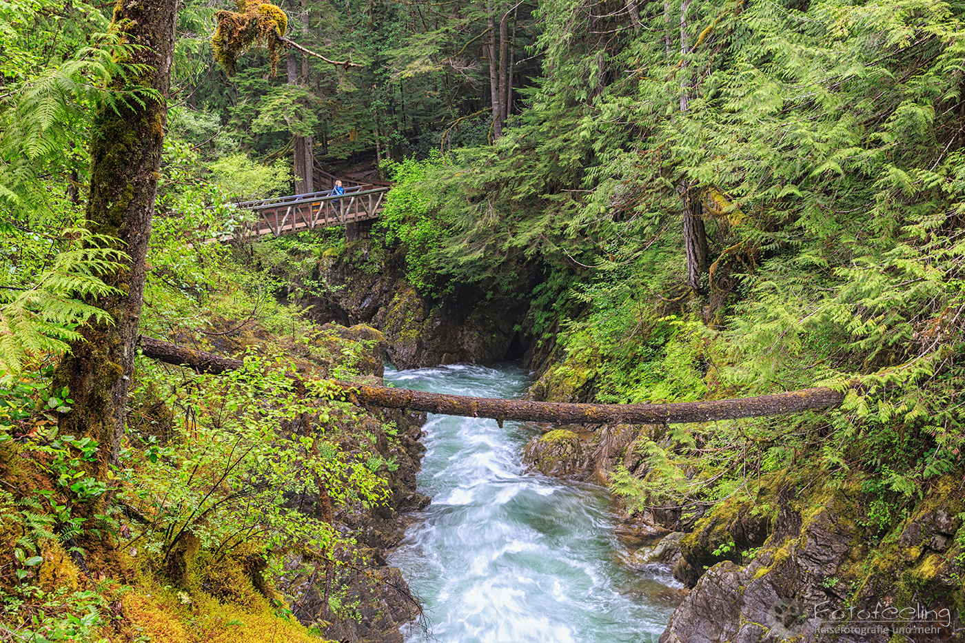 Little Qualicum Falls Provincial Park