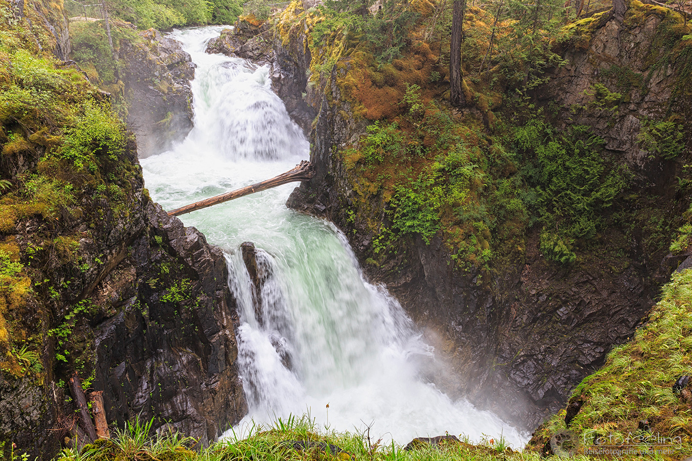 Little Qualicum Falls Provincial Park