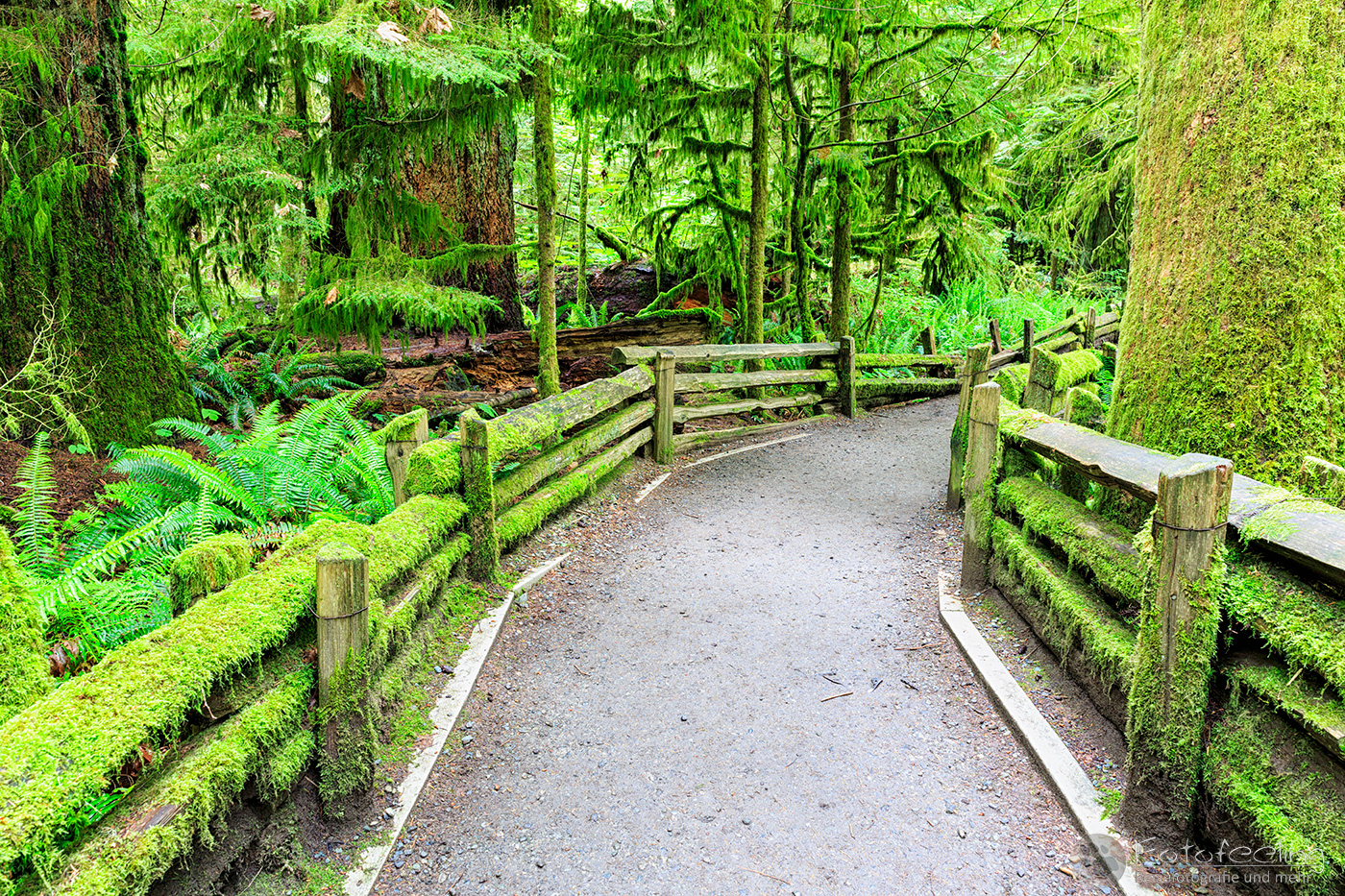 MacMillan Provincial Park