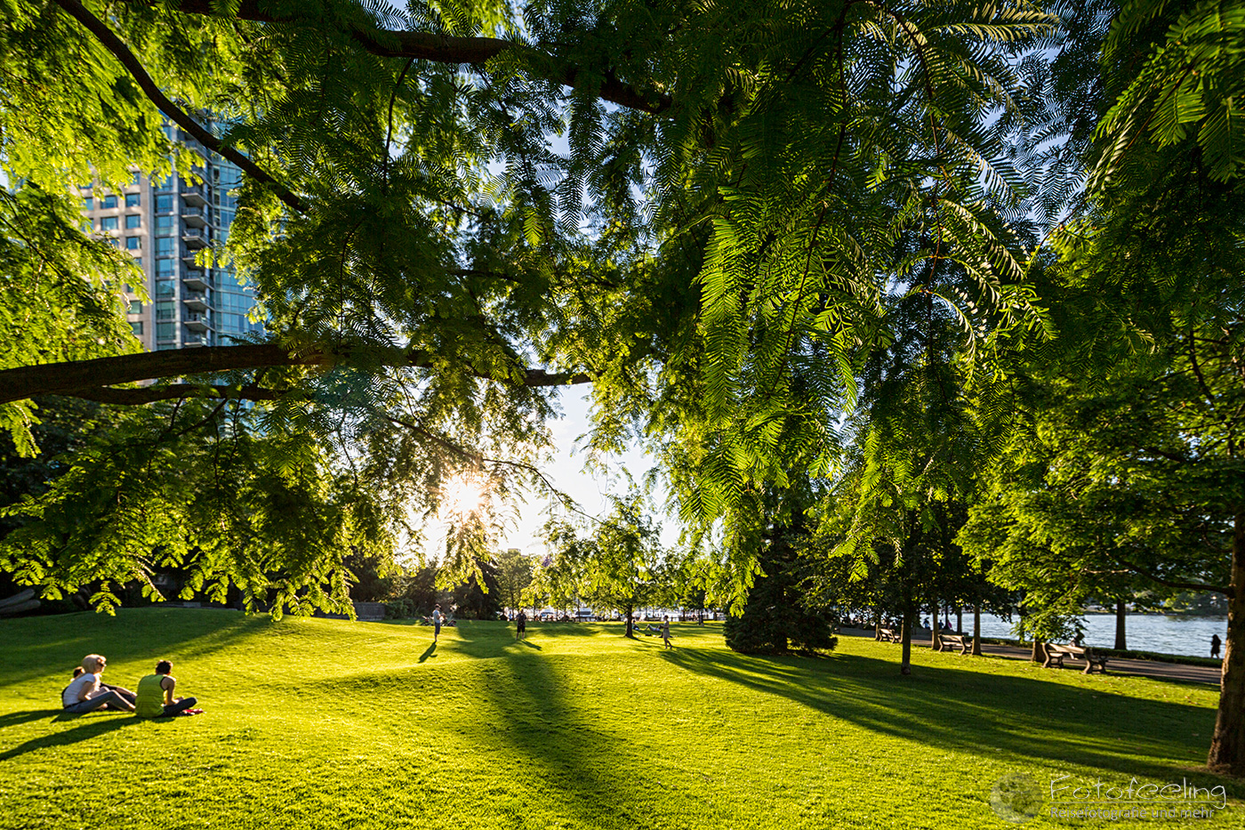 Harbour Green Park in Vancouver