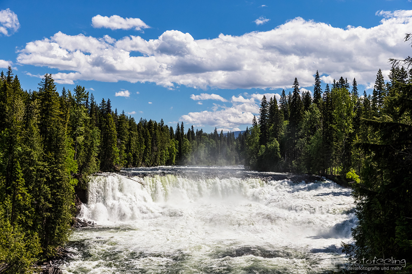 Murtle River & Dawson Falls