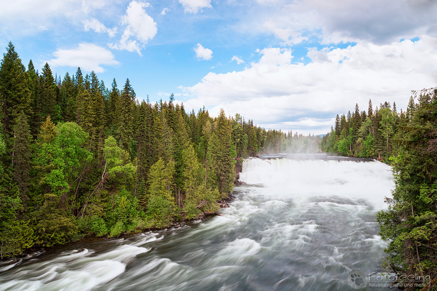 Murtle River & Dawson Falls