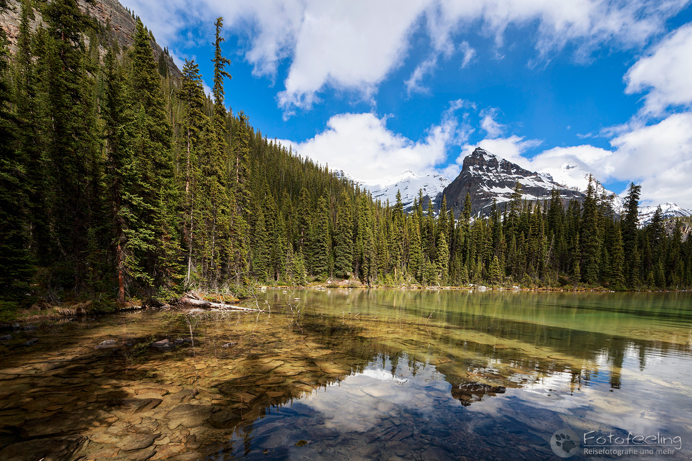 Kleiner See am Lake O’Hara und Yukness Mountain