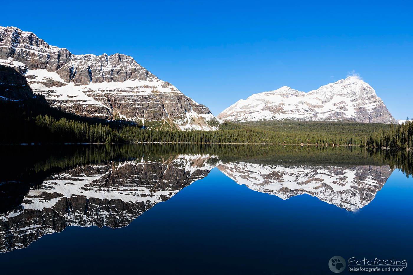 Lake O’Hara mit Mount Shaffer, Walter Feuz Peak und Odaray Mountain