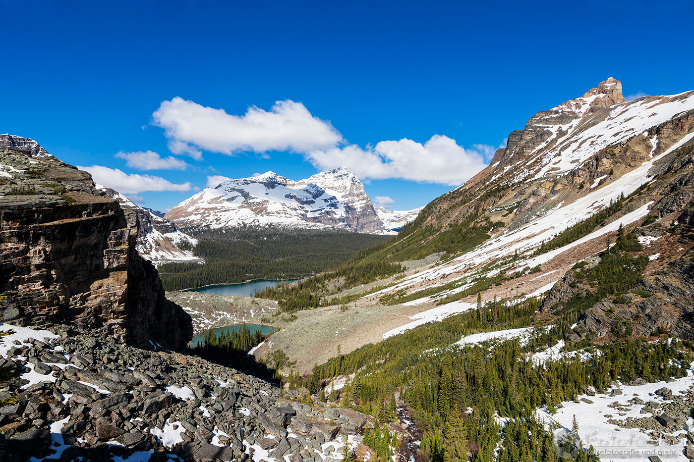 Aussicht vom Alpine Circuit auf den  Victoria Lake und Lake O’Hara mit Walter Feuz Peak, Odaray Mountain und Wiwaxy Peaks