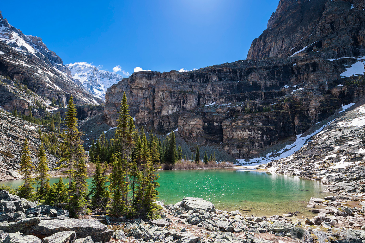 Victoria Lake am Alpine Circuit