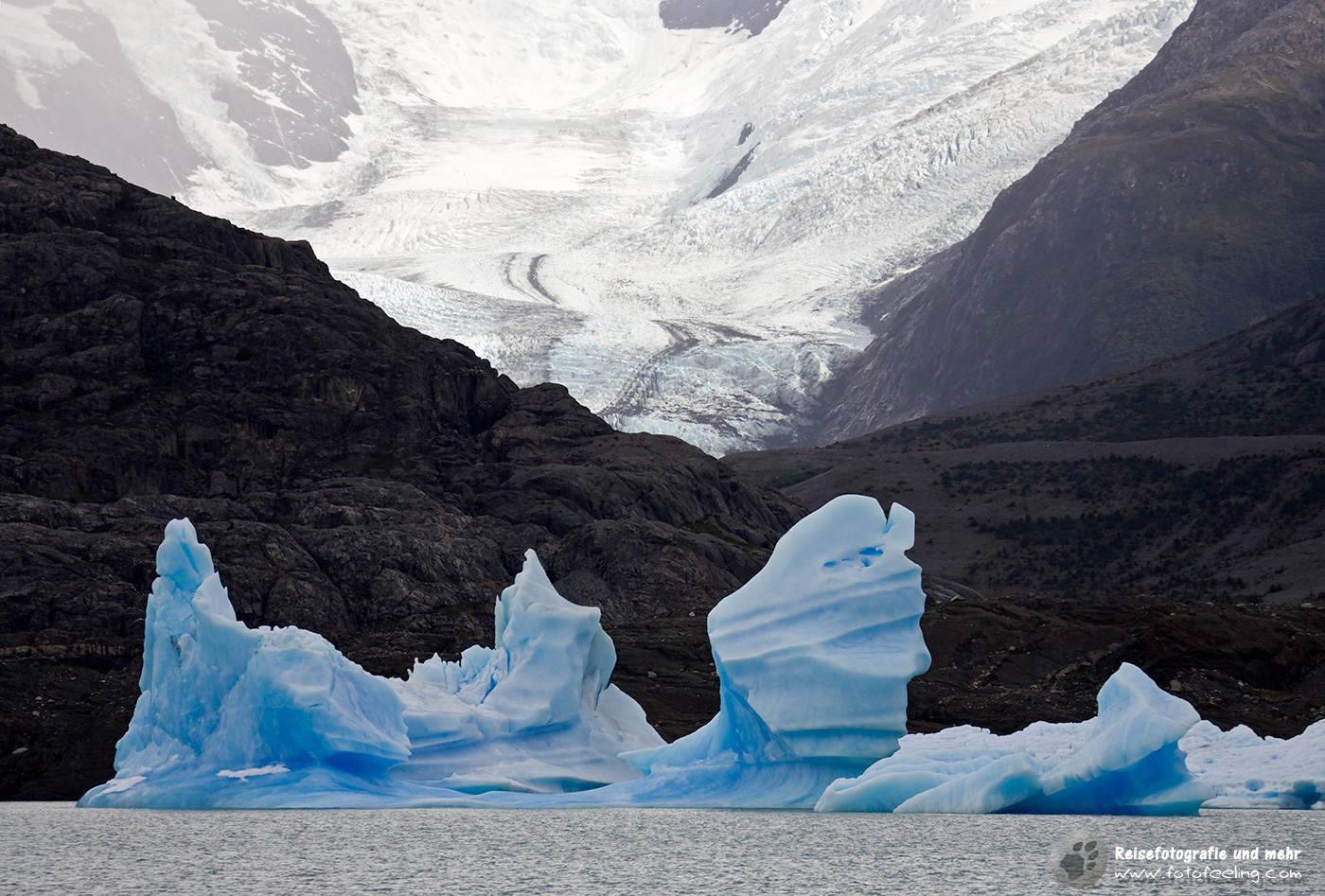 Eisberg und Gletscher im See Lago Argentino