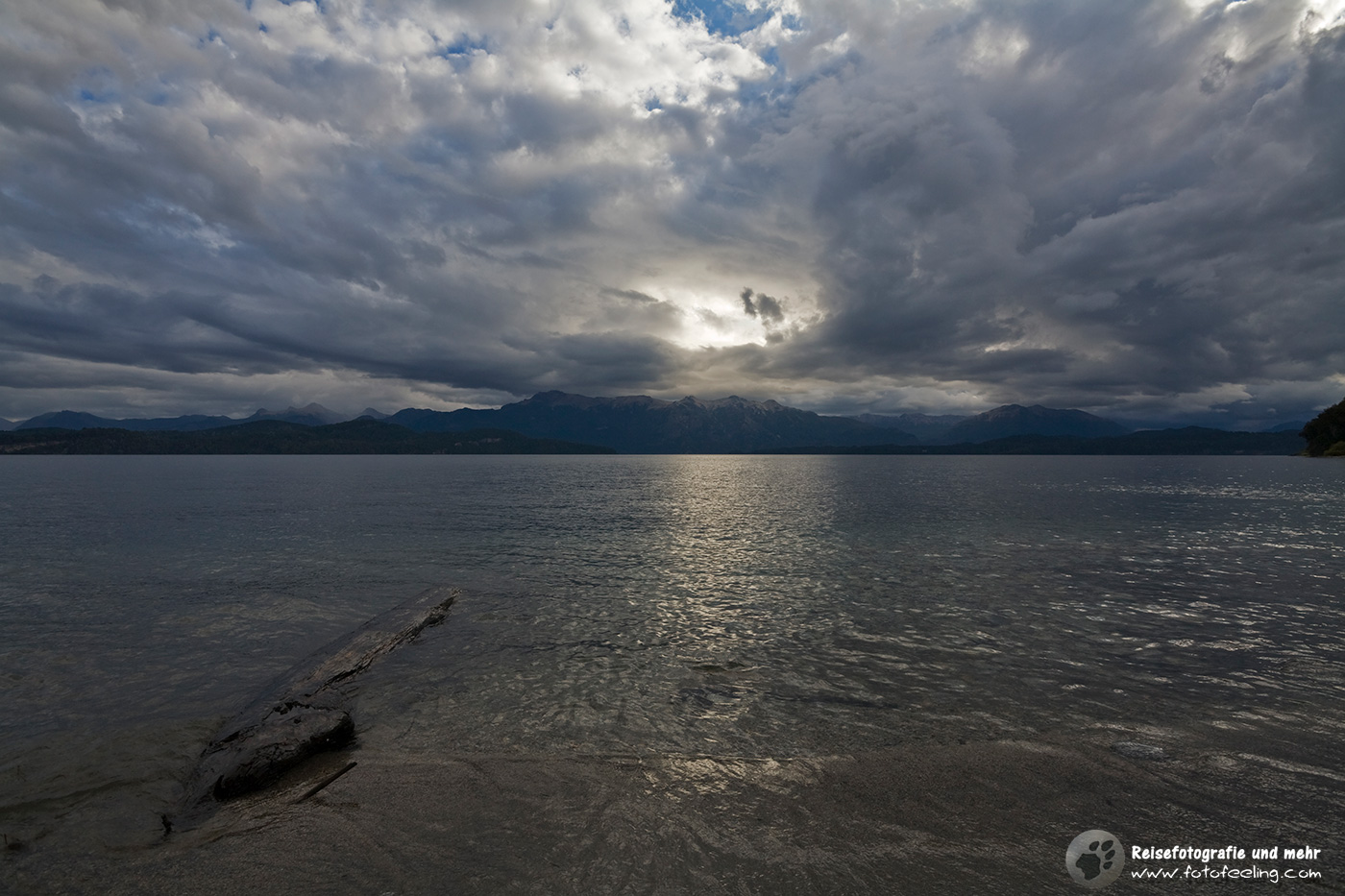 Baumstamm im See Nahuel Huapi