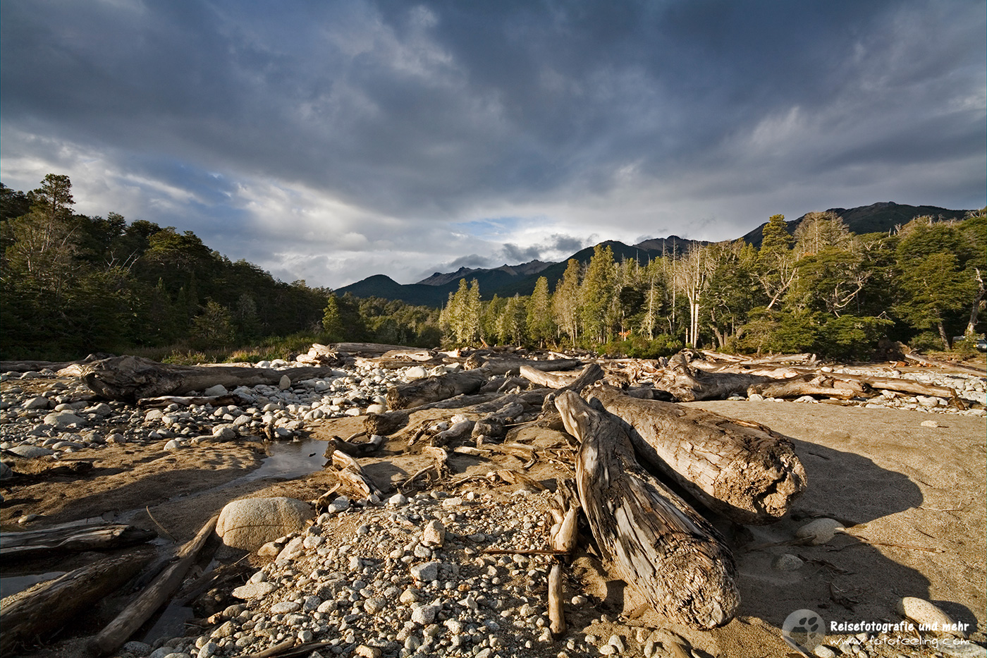 Baumstämme in einem Flußbett am See Nahuel Huapi