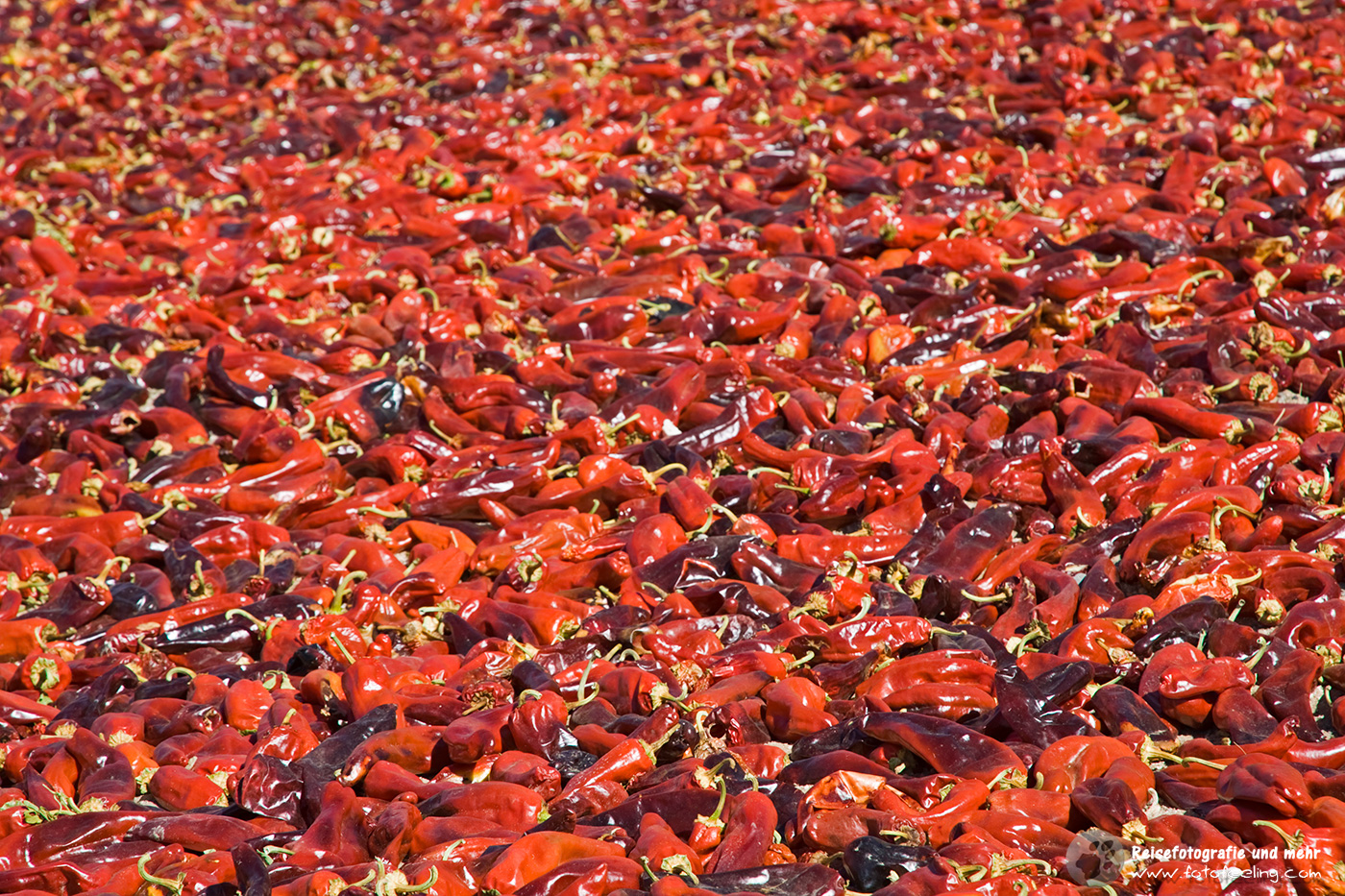 Zum Trocknen ausgelegte Paprika, Norden von Argentinien