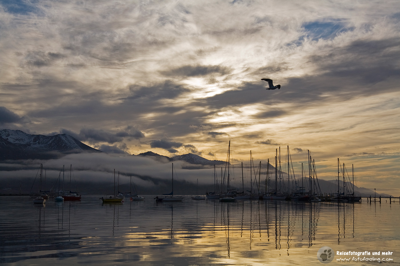 Morgennebel im Hafen von Ushuaia