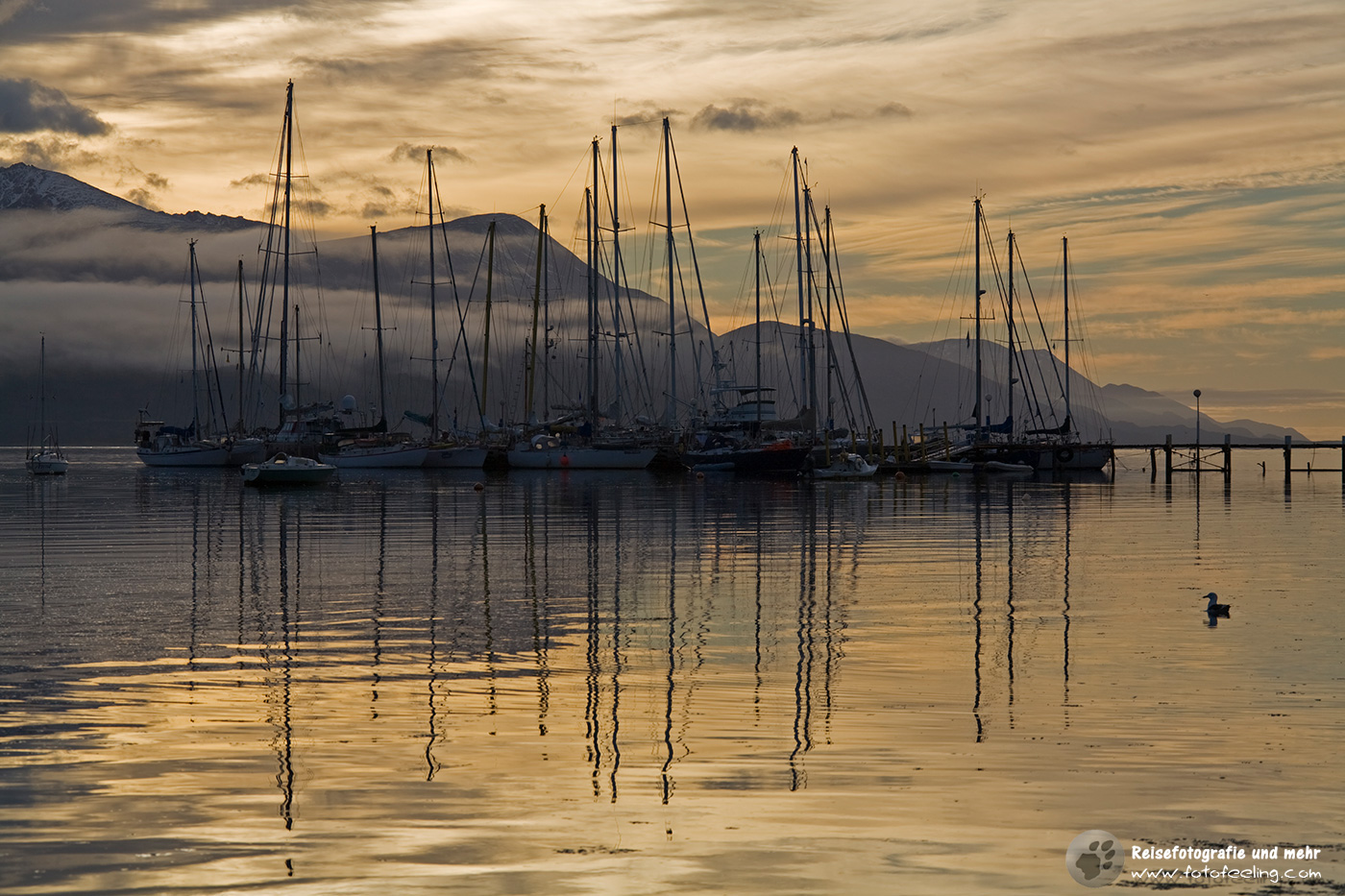 Morgennebel im Hafen von Ushuaia
