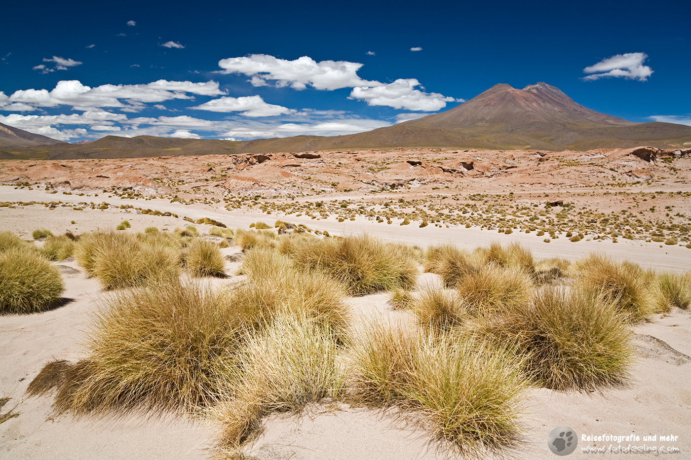 Vulkanlandschaft im  Altiplano