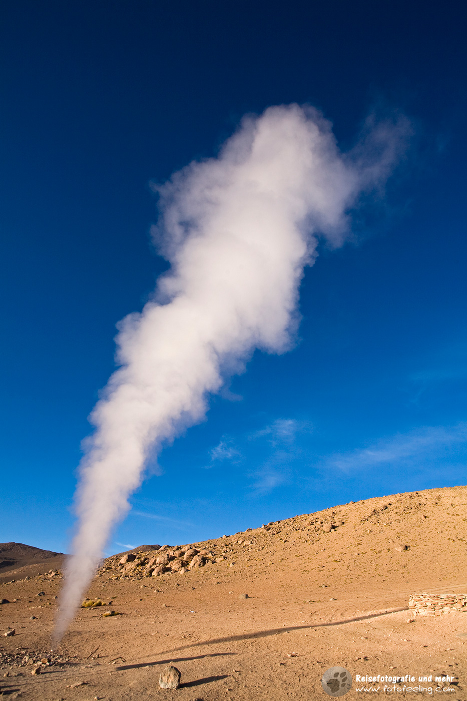 Geysir Sol de Manana frühmorgens